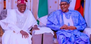 One year in office: Buhari seeks more support for Tinubu, calls for unity