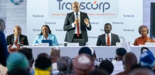 ‘Special courts should be established’ — Elumelu says power theft setback for DisCos