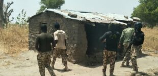 ’47 Boko Haram, ISWAP associates’ surrender to troops in Borno