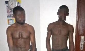 Police: Two brothers arrested for stealing transformer cables in Lagos 