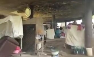 VIDEO: Lagos uncovers another under bridge apartment in Ikoyi
