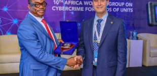 Nigerian police commissioner elected chairperson of Interpol African cybercrime units