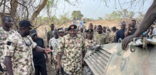 Army rescues 386 captives after 10 years in Sambisa forest