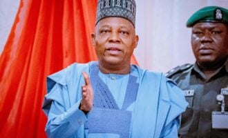Shettima: CBN, NSA interventions in FX market have yielded desired results