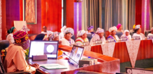 Agora Policy: Tinubu yet to fulfill pledge on political inclusion for women, youth