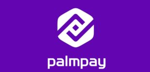 PalmPay resumes customer onboarding, reaffirms commitment to driving financial inclusion