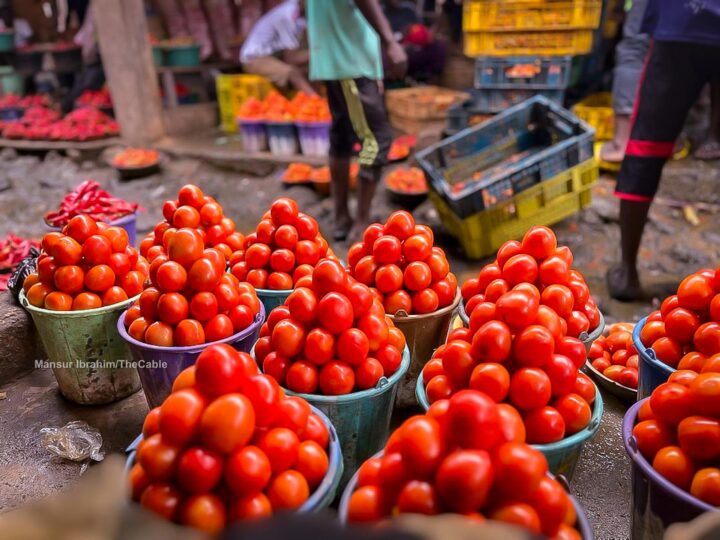 Agric minister: Over N1.3bn lost to tomato ebola outbreak in Kano, Katsina, Kaduna