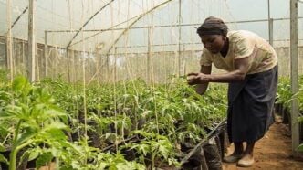 Climate-smart agriculture