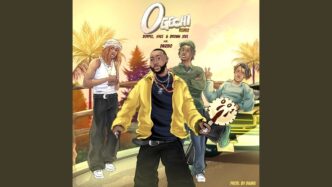 Davido 'Ogechi'