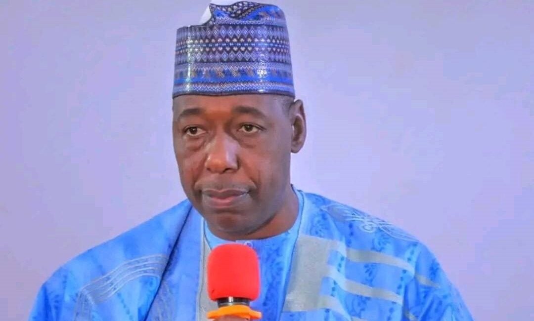 Babagana Zulum, governor of Borno, on tax bills