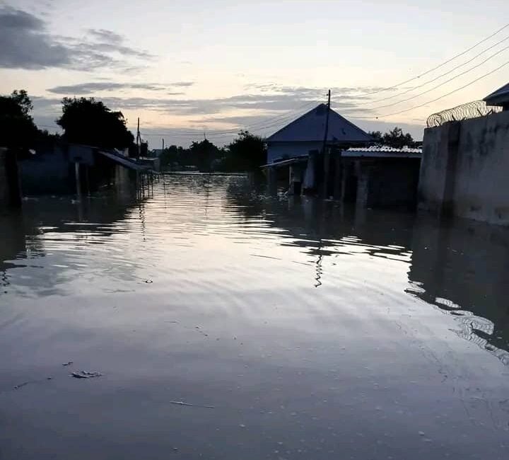 Flood in Maiduguri, Borno