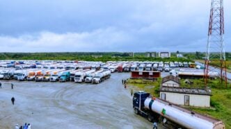 Presidency: Tinubu won't intervene in NNPC, Dangote refinery disagreement over petrol price