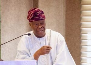 Wale Edun: Nigeria insulated from global tariff shocks