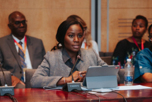 Olu Verheijen, special adviser to President Bola Tinubu on energy