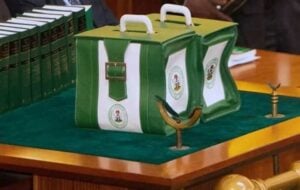 Budget office to release 2024 implementation report in September
