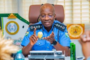 Kayode Egbetokun, the inspector-general of police (IGP)