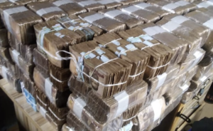 Kano N1.3bn, Bayelsa N358.8m -- how states shared N22.9bn ecological fund in five months