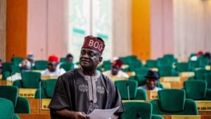 Oluwole Oke, chairman of the house of representatives committee on public accounts