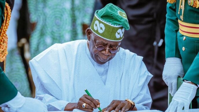 Tinubu names new governing council members for UniAbuja, UNN, NAU