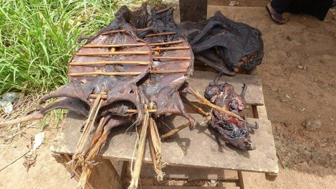 Bushmeat