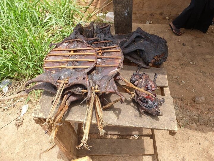 Bushmeat
