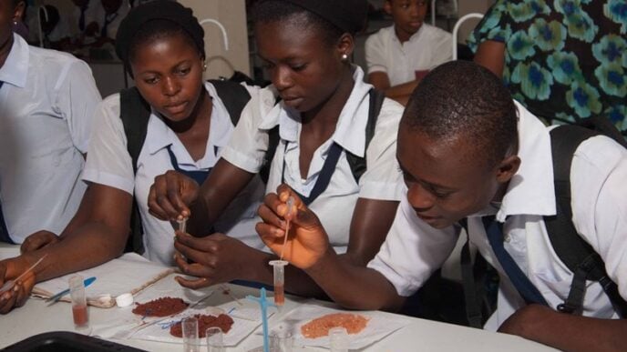 Idris Bugaje: Why FG is converting science schools to technical colleges