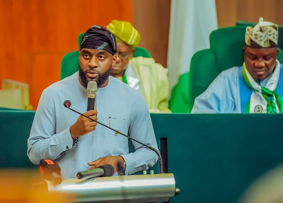 Conference of speakers asks n'assembly to fast-track constitution review ahead of 2027 polls | TheCable