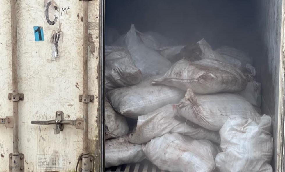 EXTRA: Customs intercepts container loaded with 10,603 male donkey genitals | TheCable