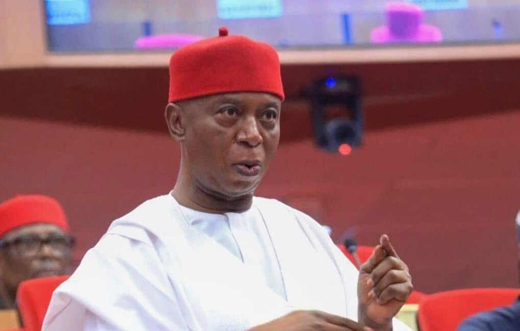 Ned Nwoko