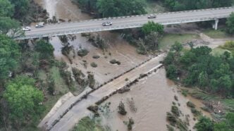 A drone view shows fallen trees as a result of flash floods, in Comfort, Texas, U.S, on July 5, 2025 | Photo: REUTERS/Marco Bello