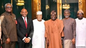 Tinubu to GenCos: Give us more time to verify N4trn electricity debt