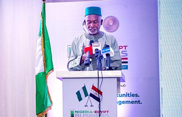 Yusuf Tuggar, foreign affairs minister