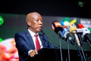 Julius Malema