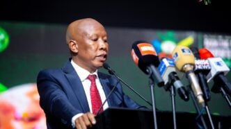 Julius Malema