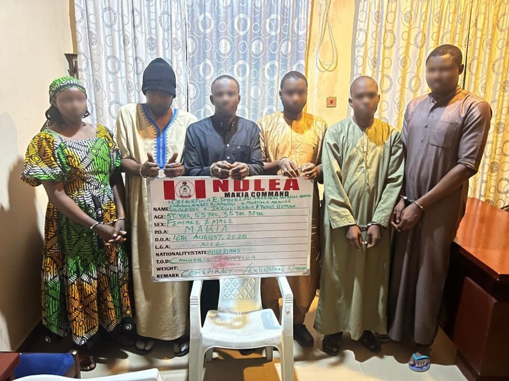The alleged syndicate apprehended by the NDLEA