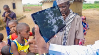 FG says education intervention for nomads to boost Nigeria’s livestock sector