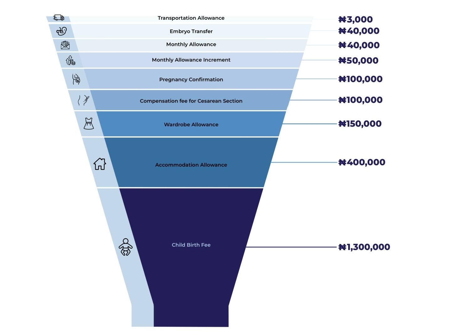 An infographic representing a breakdown of Temitope’s payment plan. Photo credit: DUBAWA via Temitope.