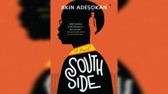 Akin Adesokan South Side