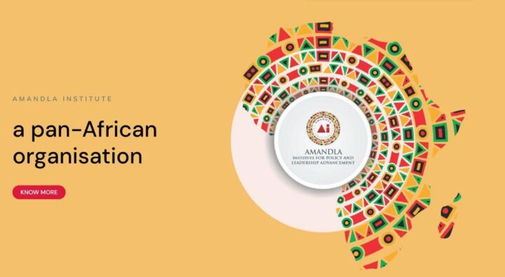 Amandla Institute