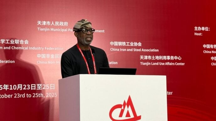 Dele Alake, minister of solid minerals development,