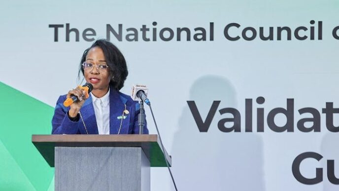 Tenioye Majekodunmi, director-general of the NCCC