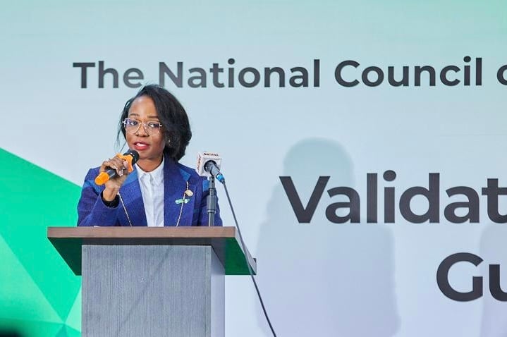 Tenioye Majekodunmi, director-general of the NCCC