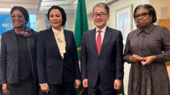 FG, Japan explore investment opportunities in Nigeria