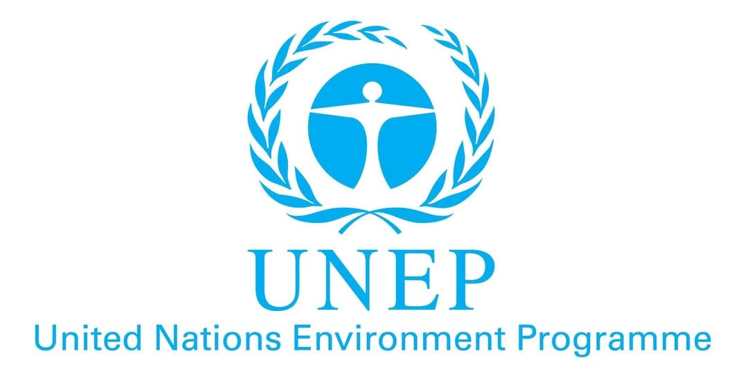 UNEP: Developing countries need over $300bn yearly to adapt to climate change