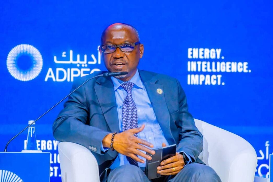 Ekperikpe Ekpo, minister of state for petroleum resources (gas),