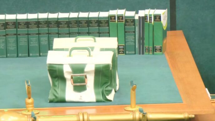 Tinubu presents N58.18trn 2026 budget, earmarks N5.41trn for security